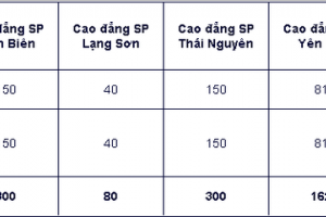 5 trường cao đẳng được tuyển sinh ngành Sư phạm 2023