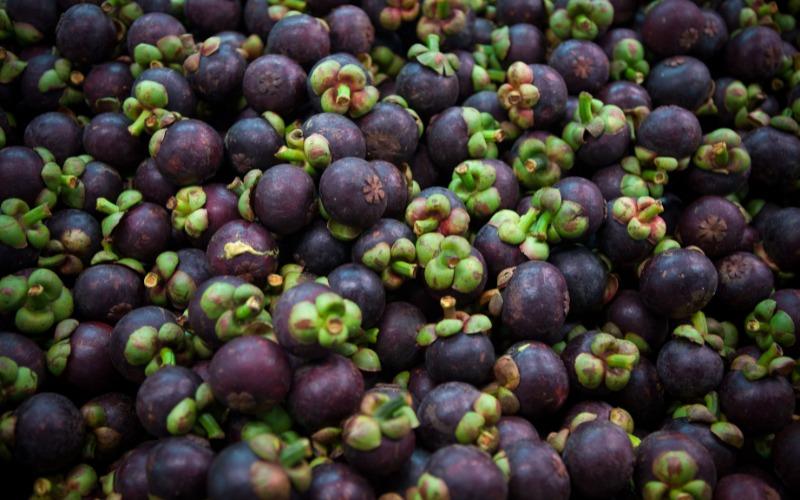 Bí quyết làm sinh tố măng cụt đẹp da trong mùa hè